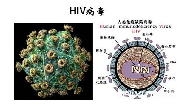 QQ截图20161121121726.png